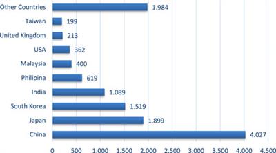 How Does Human Capital Spillover Inflow of Foreign Workers Affect Economic Growth?